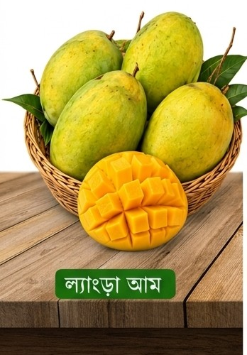 ল্যাংড়া ১০ কেজি